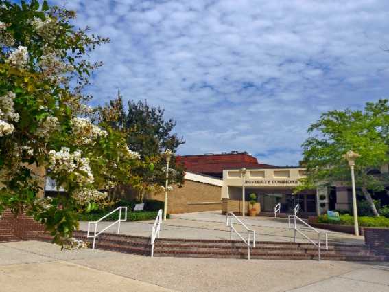 University Of West Florida Police